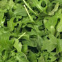 Rucola Selvatica