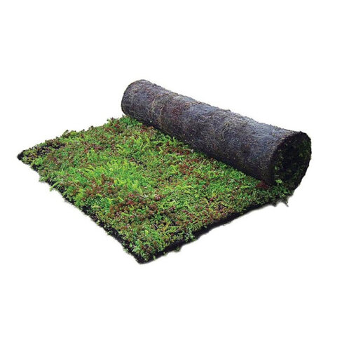 Vierkante meter sedummixmat