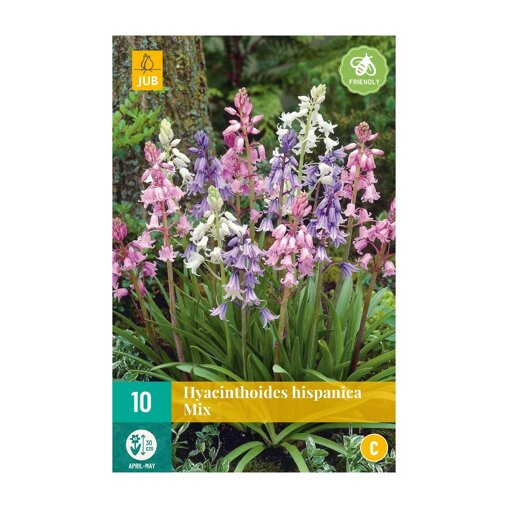 Spaanse hyacintenbollen Mix (zakje van 10 stuks)