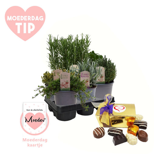 Moederdag verwenpakket Kruiden mix