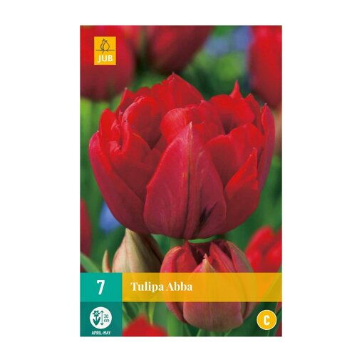 Tulpenbollen Abba (zakje van 7 stuks)