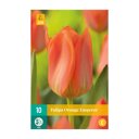 Tulpenbollen Orange Emperor (zakje van 10 stuks)