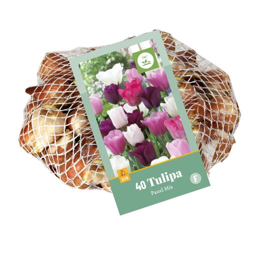 Tulpenbollen Pastel Mix (netzak 40 stuks)