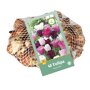 Tulpenbollen Pastel Mix (netzak 40 stuks)