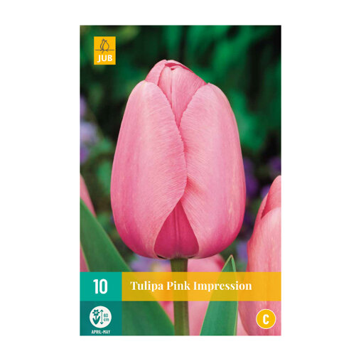 Tulpenbollen Pink Impression (zakje van 10 stuks)