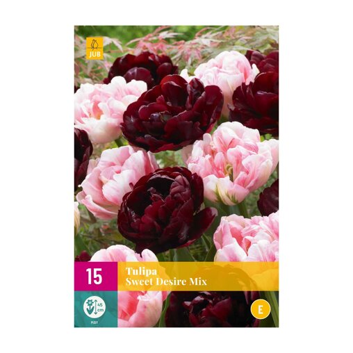 Tulpenbollen Sweet Desire Mix (XXL zak 15 stuks)