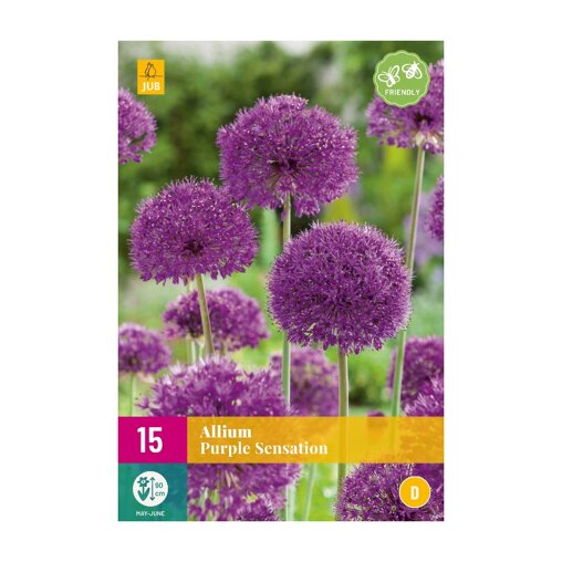 Uienbollen Purple Sensation (XXL zak 15 stuks)