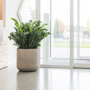 Pottery Pots Urban Jumbo Charlie ronde plantenbak beige sfeer binnen