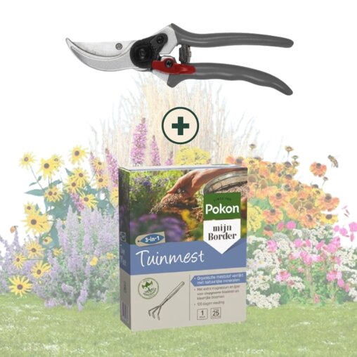 Vaste planten onderhoudspakket