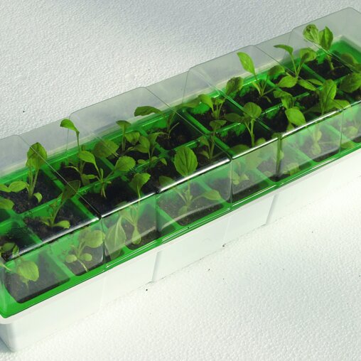 Vensterbankbroeikasje